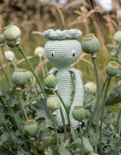 Poppy Seed Head Kit