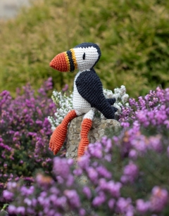 Gareth the Puffin