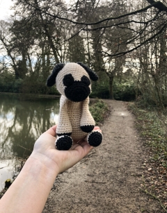 Spencer the Pug