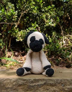 Spencer the Pug