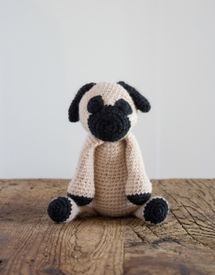 Spencer the Pug