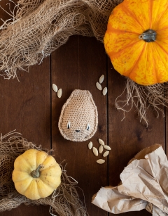 Pumpkin Seed Kit