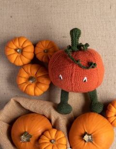 Pumpkin Kit
