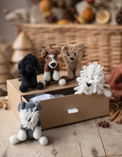 Puppies Discovery Box
