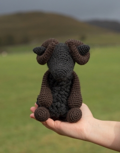 Andras the Black Welsh Mountain Sheep