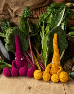 Rainbow Chard Kit