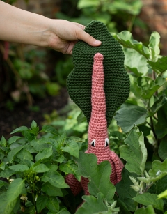 Large Rainbow Chard