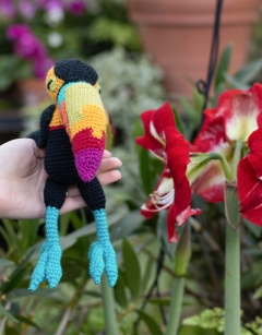 Isabella the Rainbow Toucan