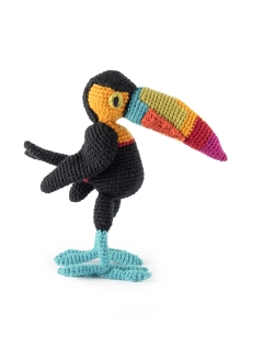 Isabella the Rainbow Toucan