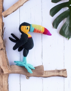 Isabella the Rainbow Toucan