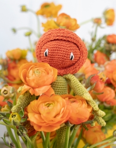 Ranunculus Kit