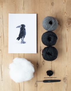 Henry the Raven Kit