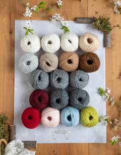 Red Riding Hood Story Bundle