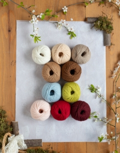 Red Riding Hood Visits Grandmother's House