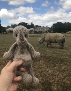 Austin the Rhino