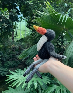 Nor the Rhinoceros Hornbill