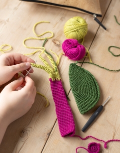 Rhubarb Kit