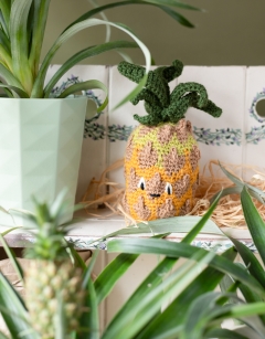 Ripening Pineapple