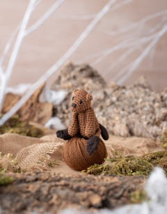 Rockies Discovery Box