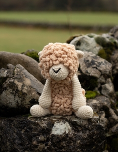 Everett the Romney Sheep