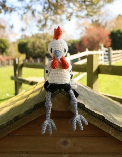 Melvin the Orust Rooster