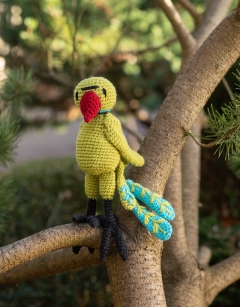 Remi the Rose-Ringed Parakeet