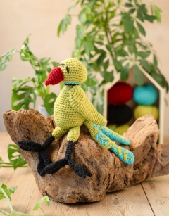 Remi the Rose-Ringed Parakeet