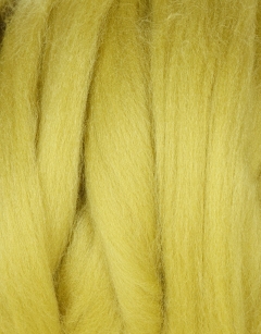 Lime Roving 100g