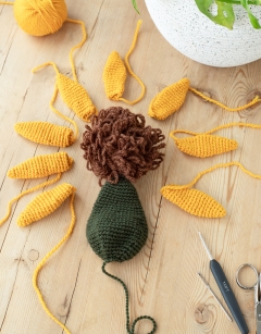 Rudbeckia Kit