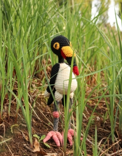 Amelia the Saddle Billed Stork