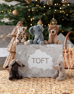 Safari Discovery Box