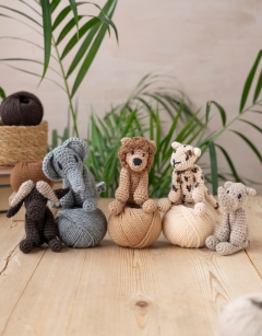 Safari Discovery Box