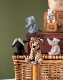 Safari Discovery Box