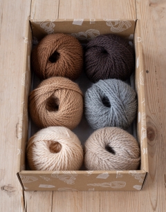 Safari Discovery Box