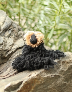 Russell the Saki Monkey