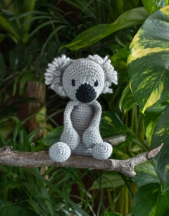 Samuel the Koala