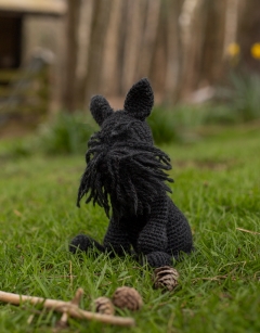 Reginald the Scottish Highland Terrier