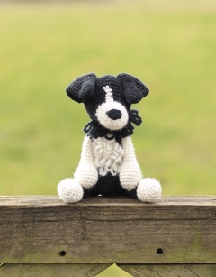 Daisy the Sheepdog