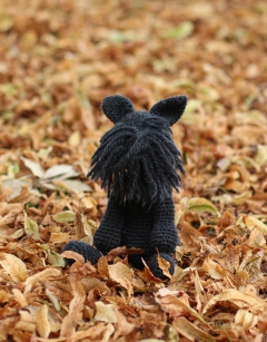 Reginald the Scottish Highland Terrier