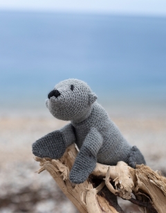 Callum the Sea Lion