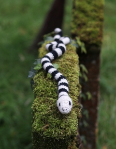 Shelley the Sea Snake