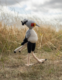 Lee the Secretary Bird
