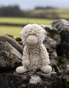 Lou the Merino Sheep