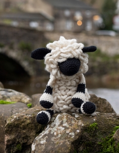 Lisa the Valais Blacknose Sheep