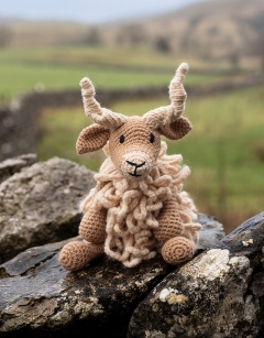Sheep Bundle