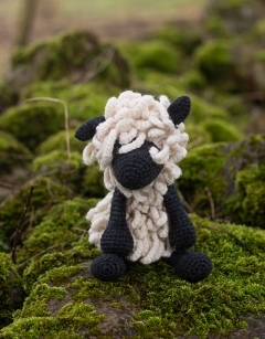 Harold the Teeswater Sheep