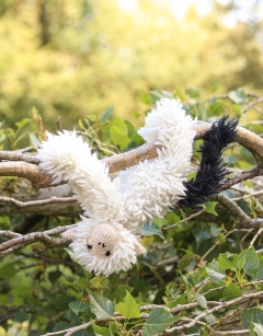 Kirk the Silvery Marmoset