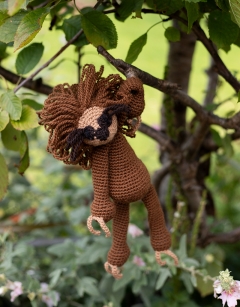 Natasha the Two-Toed Sloth