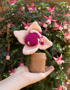 Small Terracotta Pot