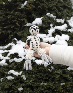 Anik the Snowy Owl